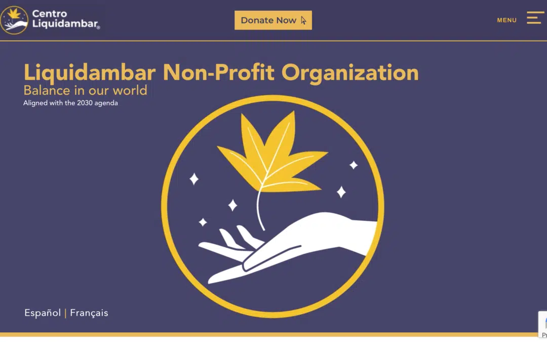CentroLiquidambar.org website preview